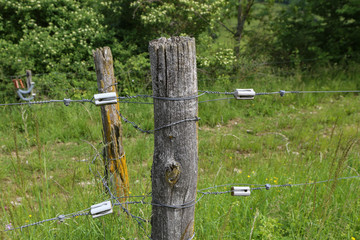 Electric fence in the field