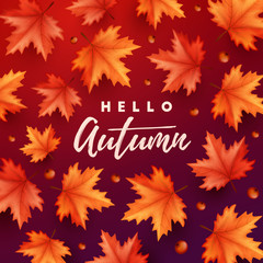 Autumn background with colorful leaves. Vector illustration.
