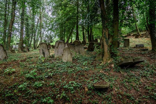 cmentarz żydowski kirkut Biała Polska