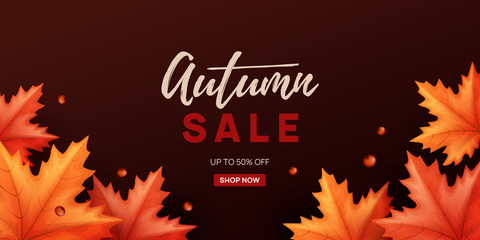 Autumn sale background with colorful leaves. Vector illustration.