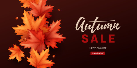 Autumn sale background with colorful leaves. Vector illustration.