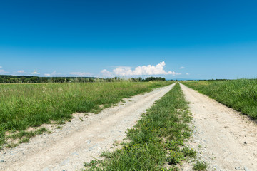 Gerader Feldweg mit Grünstreifen