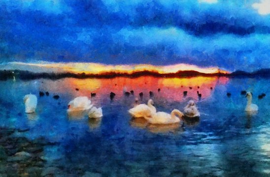 Oil painting. Art print for wall decor. Acrylic artwork. Big size poster. Watercolor drawing. Modern style fine art. Impressionism. Impressionist art. Painting for sale. Swans band. Pond. Nice sunset.