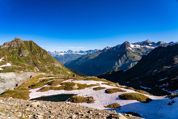 Obraz premium Scenic view of beautiful landscape in Swiss Alps. Fresh green meadows and snow-capped mountain tops in the background in springtime, Switzerland.