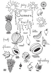 Summer Fruits Doodle Set Hand Drawn Black Ink