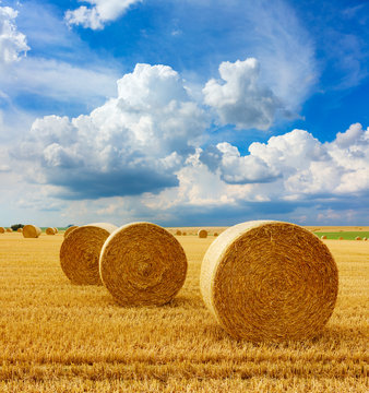 Yellow golden straw bales of hay in the stubble field, agricultural field under a blue sky with clouds