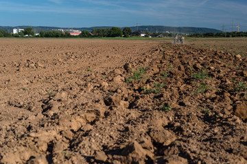 The tractor pulls the plow and plowed field on a sunny summer day with a beautiful blue sky in the background.
