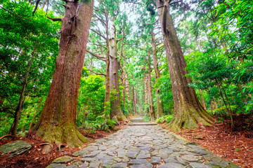 Daimonzaka path in wakayama, Japan