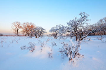 Winter landscape. Cold day.