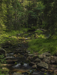 Fototapeta premium Rolava river in summer hot sunny day