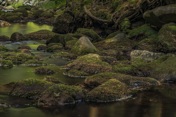 Rolava river in summer hot sunny day