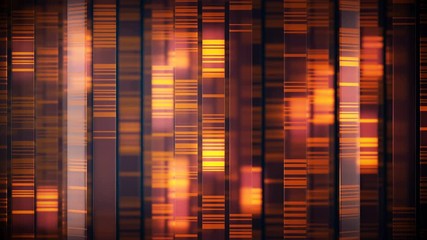 Orange glass bars background like dna or bar code. The video is loopable. The transition (first 25 frames) can be used for a trim at any time. Useful for titles and presentation - Powered by Adobe