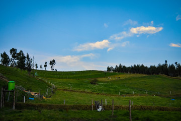 CAMPOS ANDINOS 3400 M.S.N.M.