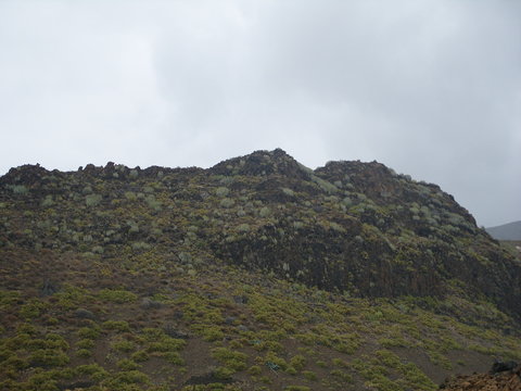 Cripta