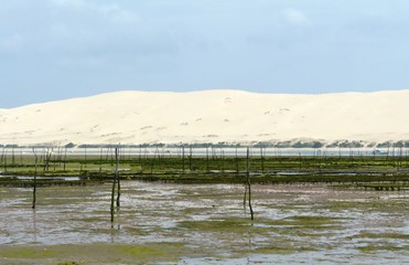 dune du Pilat