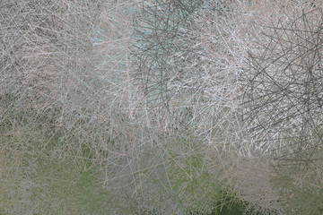 Abstract geometric background with shape of messy random line circles pattern. Concept, digital, surface & design.
