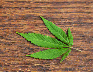 cannabis leaf on old wooden table