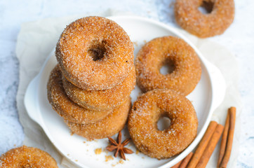 Cinnamon Donuts, Freshly Baked Doughnuts Covered in Sugar and Cinnamon Mixture