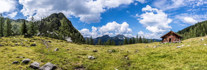 Almhütte in den Bergen: Bäume, grüne Wiese und blauer Himmel, Panorama
