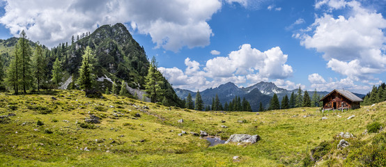 Almhütte in den Bergen: Bäume, grüne Wiese und blauer Himmel, Panorama