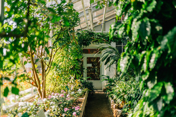 Streifzug durch den Botanischen Garten der Uni Greifswald