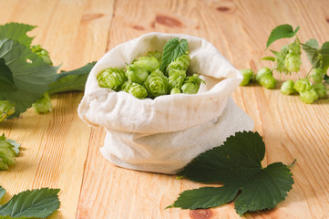 Fresh cones of hops in bag on  wooden background, Ingredient in beer industry. Craft beer brewing....