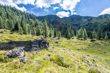 Ruine einer Berghütte, Almlandschaft mit Wiese, Bäume und blauem Himmel