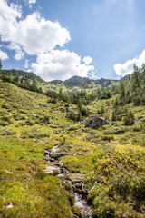 Almlandschaft: Steinbrocken, Wiese, Bächlein und blauer Himmel