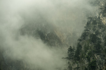 Fototapeta na wymiar Mist in the mountains