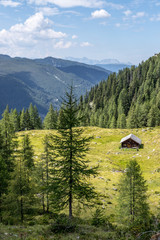 Fototapeta na wymiar Almhütte in den Bergen: Bäume, grüne Wiese und blauer Himmel