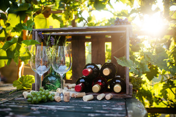 Weinlese