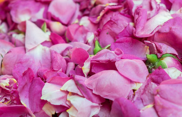 Rose petals for rose jam sold at city market. Baku. Azerbaijan