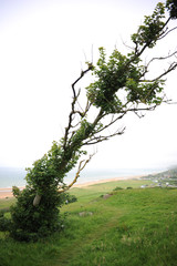 Omaha Beach in der Normandie