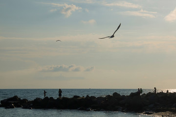 Early evening over the Black sea. Silhouettes of children playing on the breakwater. seagulls fly over the sea. Sochi Russia.