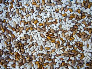 background of colored beans