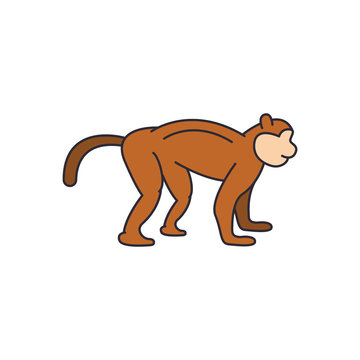 Monkey icon, cartoon style