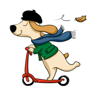 Cute Dog On Scooter - Cute Cartoon Dog Riding Scooter