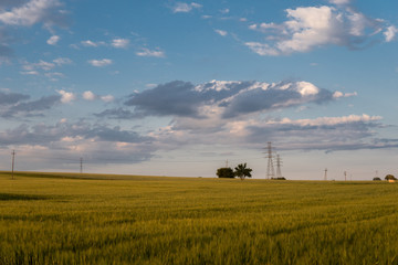 rural landscape with blue sky