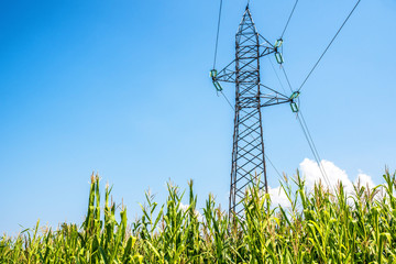 Obraz premium High Voltage Power Line in cornfield