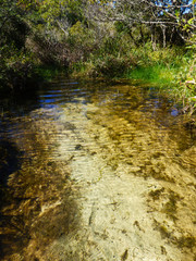 Source of Rio Vermelho (Red river), important river in Florianopolis, Brazil