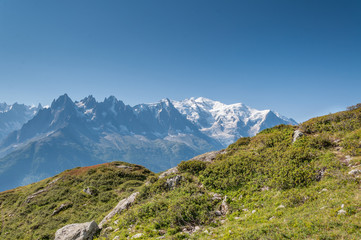 Obraz premium Mont Blanc vu de la réserve des Aiguilles Rouges