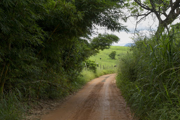 Estrada rural em Guarani, estado de Minas Gerais, Brasil
