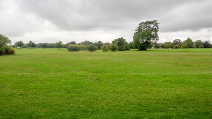 Durdham Downs
