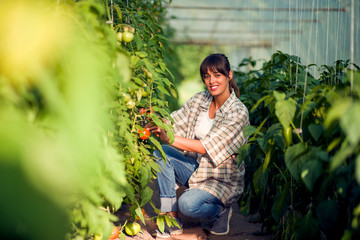 Portrait of beautiful woman working in greenhouse