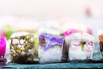 Different Beautiful Frozen Flowers in the Ice Cubes