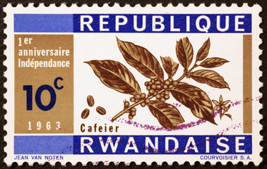 Coffee plant on postage stamp of Rwanda