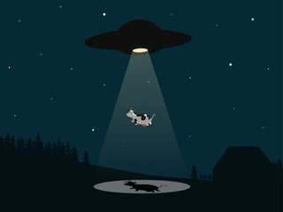 ufo © Christina M.