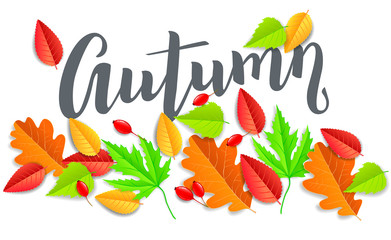 Autumn horizontal banner with leaves