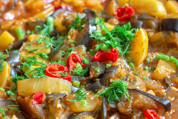 Fototapeta na wymiar Ragout of vegetables - tomatoes, zucchini, eggplant, hot red pepper with dill and gravy