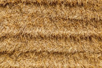 A full frame photograph of a haystack after harvesting